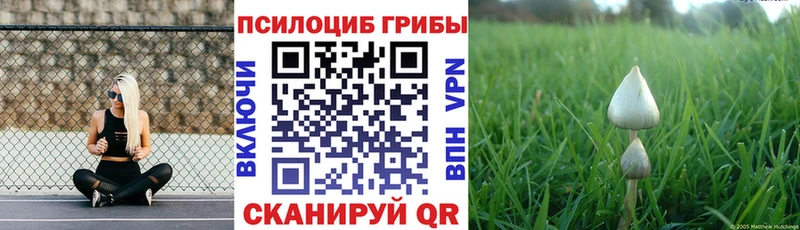 Псилоцибиновые грибы ЛСД  MEGA   Сарапул 